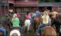 dr dolittle 3-avi_813.jpg